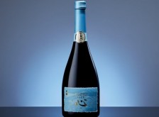 TOKYO PREMIUM SPARKLING SAKE 心-SHIN